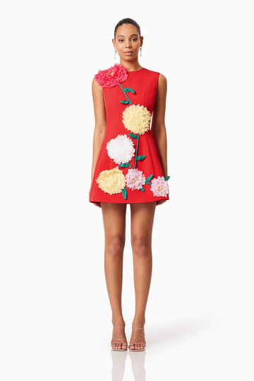 Red Sleeveless Mini Dress with 3D Floral Appliqués