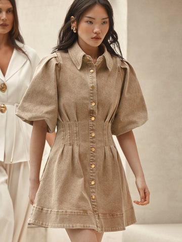 Brown Denim Button - Down Mini Dress