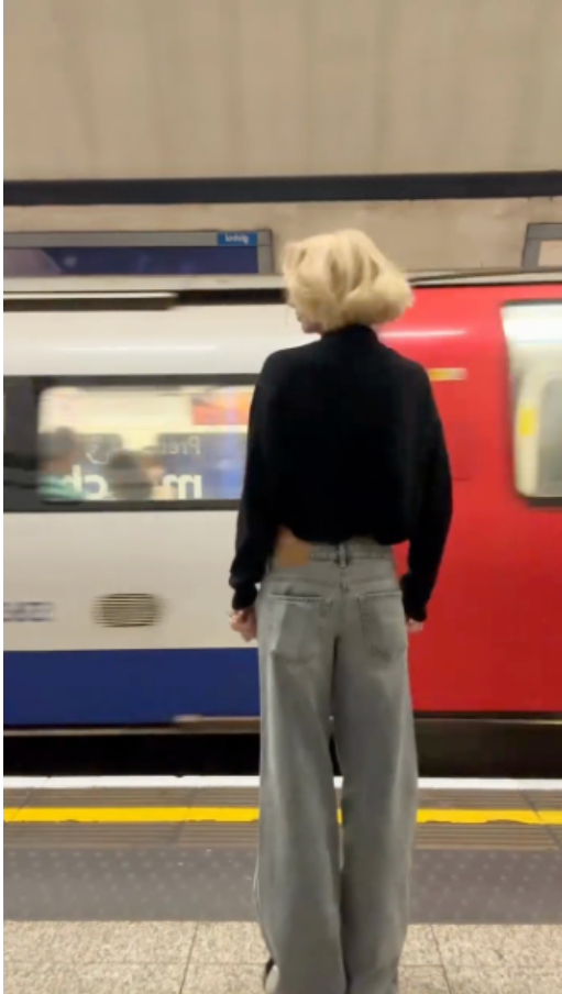 Embellished Wide - leg Jeans