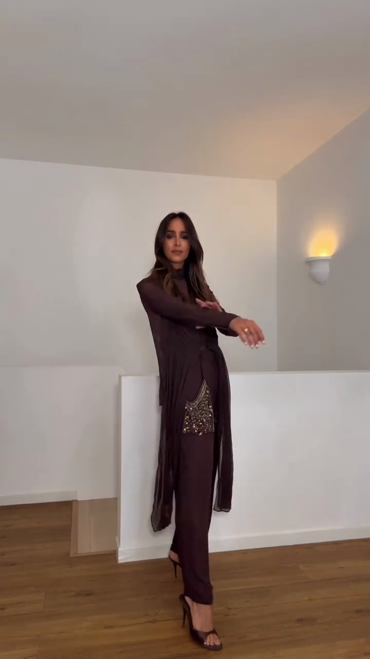 Dark Brown Sheer Top and Embellished Pants Outfit