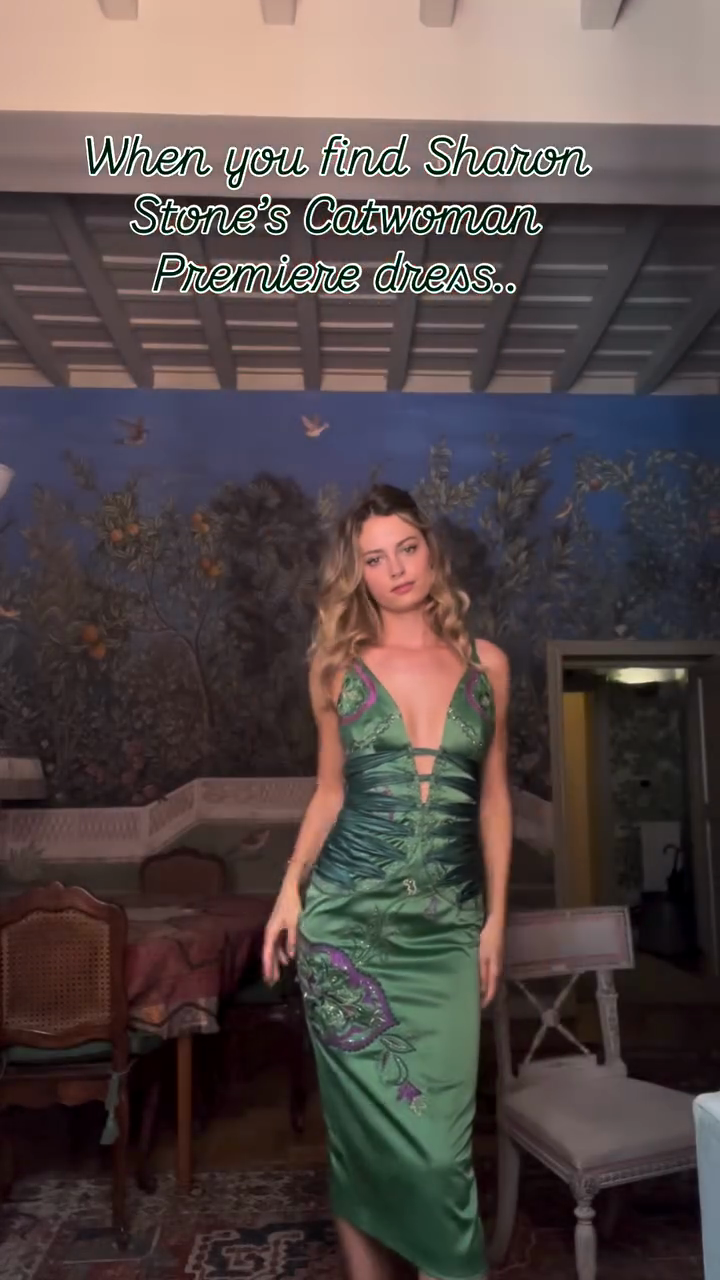 Sharon Stone Catwoman Premiere - Inspired Gown