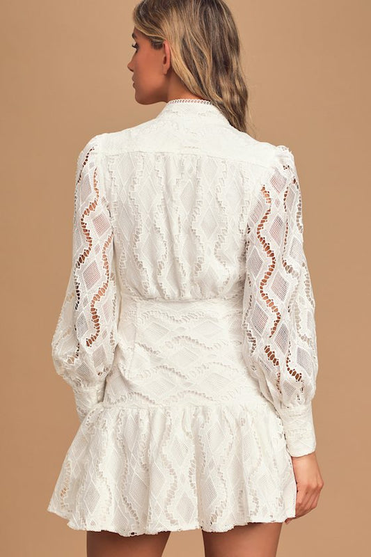 White Lace Long - Sleeve Mini Dress