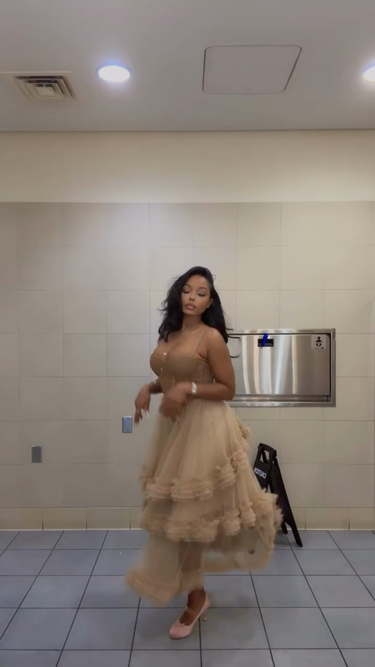 Beige Corset - Top Tiered Tulle Midi Dress