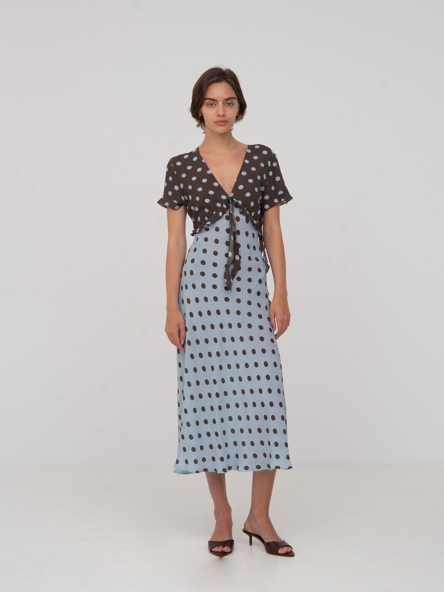 Colorblock Polka Dot Dress